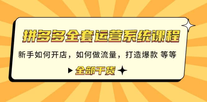 拼多多全套运营系统课程：新手如何开店 如何做流量 打造爆款 等等 全部干货-九章网创