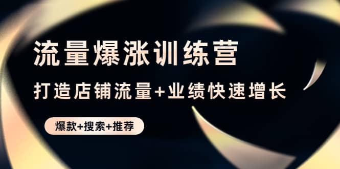 流量爆涨训练营：打造店铺流量 业绩快速增长 (爆款 搜索 推荐)-九章网创