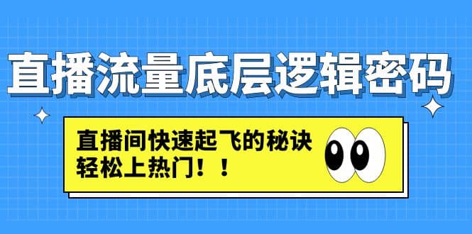 直播流量底层逻辑密码：直播间快速起飞的秘诀，轻松上热门-九章网创