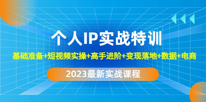 2023个人IP实战特训：基础准备 短视频实操 高手进阶 变现落地 数据 电商-九章网创