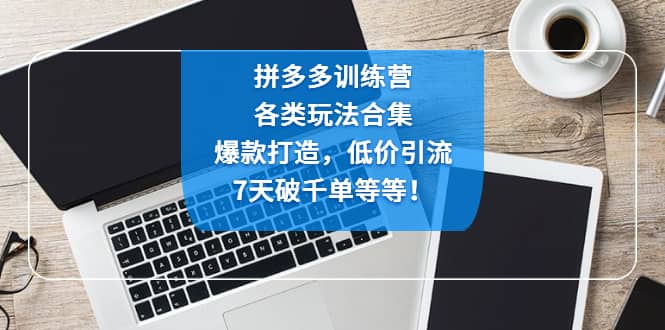 拼多多训练营：各玩法合集，爆款打造，低价引流，7天破千单等等-九章网创