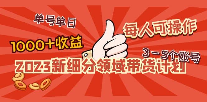 2023新细分领域带货计划：单号单日1000 收益不难，每人可操作3-5个账号-九章网创