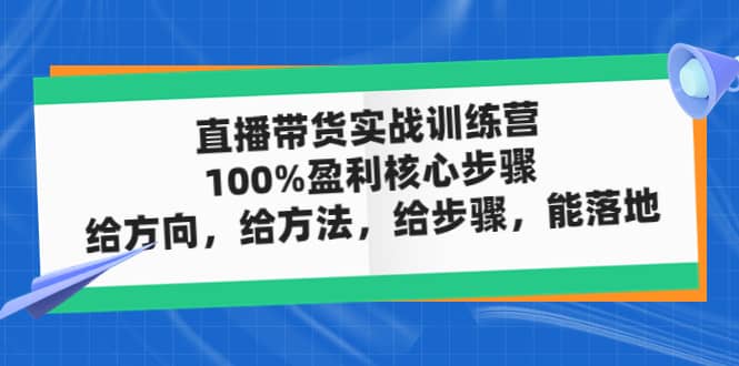 直播带货实战训练营：100%盈利核心步骤，给方向，给方法，给步骤，能落地-九章网创