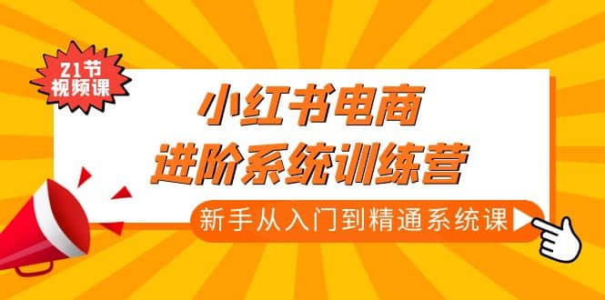 小红书电商进阶系统训练营：新手从入门到精通系统课（21节视频课）-九章网创