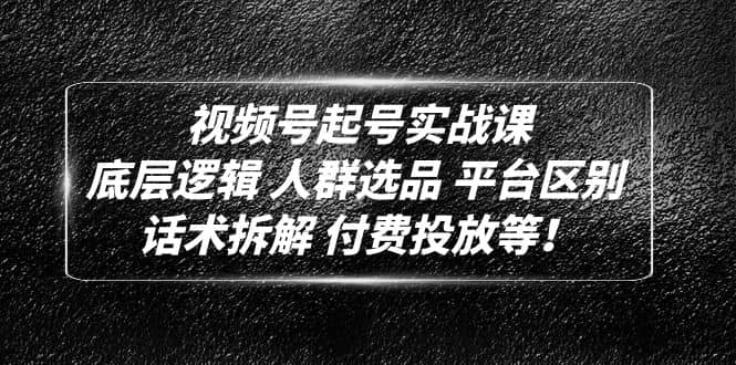 视频号起号实战课：底层逻辑 人群选品 平台区别 话术拆解 付费投放等-九章网创