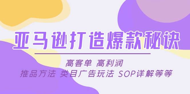 亚马逊打造爆款秘诀：高客单 高利润 推品方法 类目广告玩法 SOP详解等等-九章网创