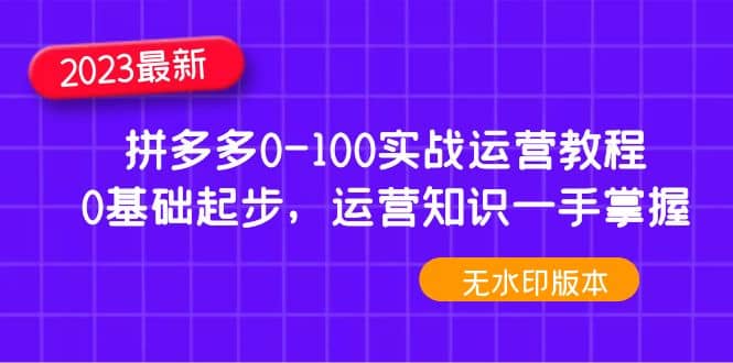 2023拼多多0-100实战运营教程，0基础起步，运营知识一手掌握（无水印）-九章网创