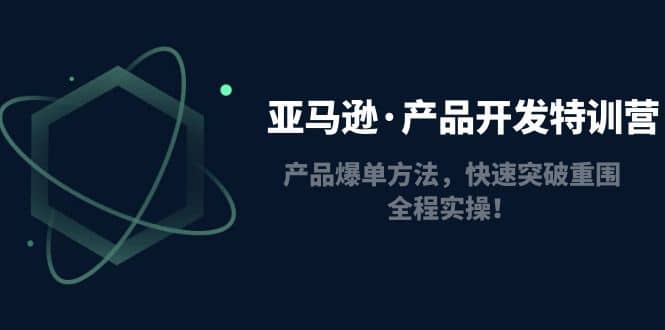 亚马逊·产品开发特训营：产品爆单方法，快速突破重围，全程实操-九章网创