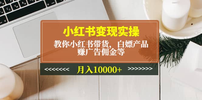 小红书变现实操：教你小红书带货，白嫖产品，赚广告佣金等-九章网创