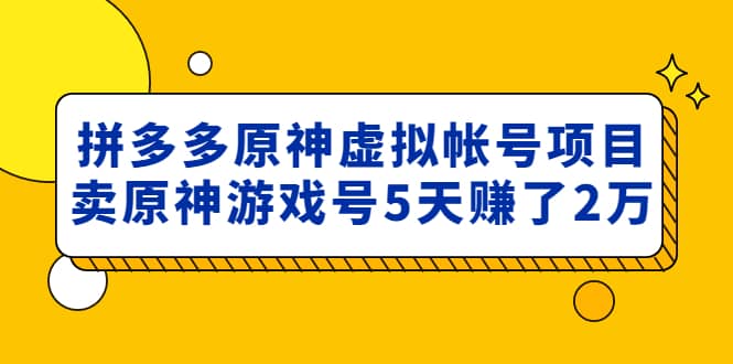 外面卖2980的拼多多原神虚拟帐号项目-九章网创