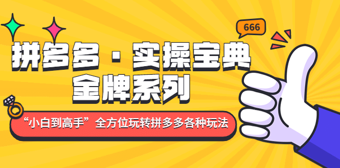 拼多多·实操宝典：金牌系列“小白到高手”带你全方位玩转拼多多各种玩法-九章网创