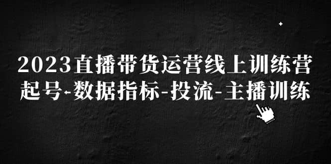 2023直播带货运营线上训练营，起号-数据指标-投流-主播训练-九章网创