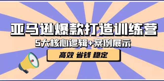 亚马逊爆款打造训练营：5大核心逻辑 案例展示 打造爆款链接 高效 省钱 稳定-九章网创