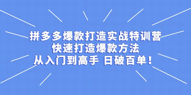 拼多多爆款打造实战特训营：快速打造爆款方法，从入门到高手 日破百单-九章网创