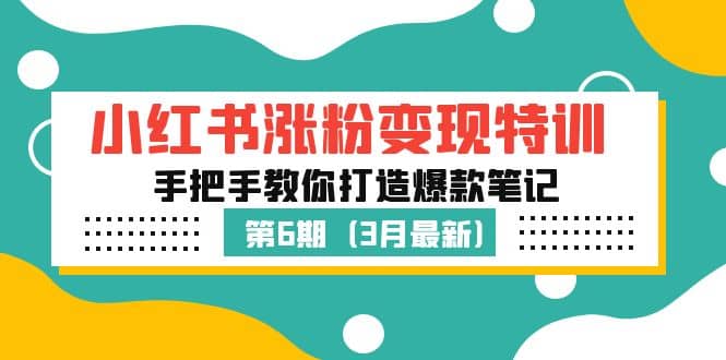 小红书涨粉变现特训·第6期，手把手教你打造爆款笔记（3月新课）-九章网创