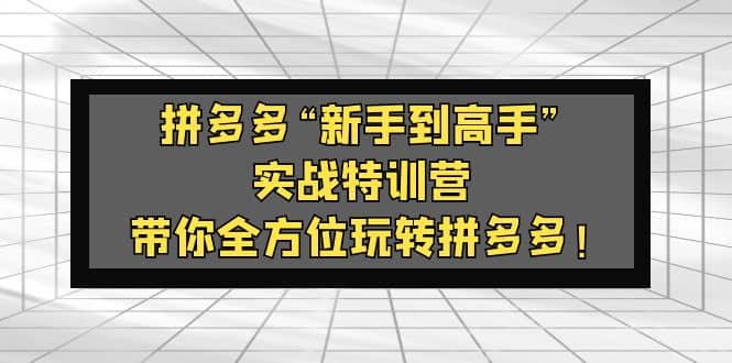 拼多多“新手到高手”实战特训营：带你全方位玩转拼多多-九章网创