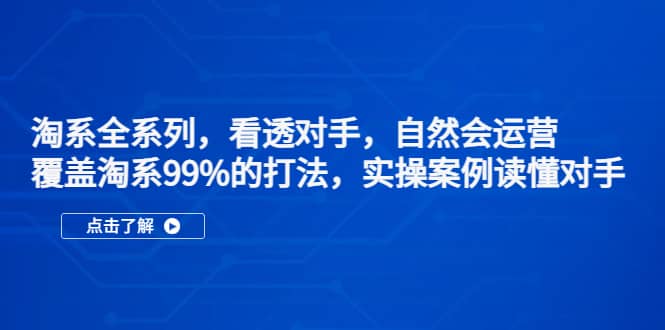 淘系全系列，看透对手，自然会运营，覆盖淘系99%·打法，实操案例读懂对手-九章网创