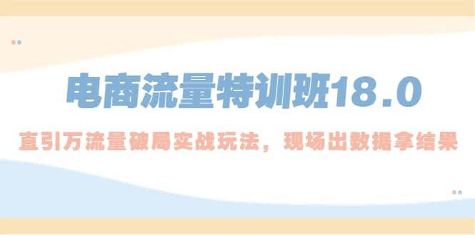 电商流量特训班18.0，直引万流量破局实操玩法，现场出数据拿结果-九章网创