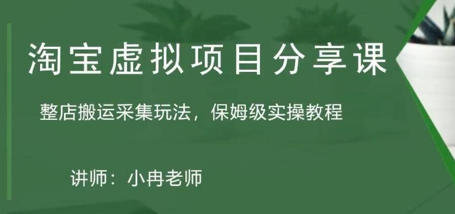 淘宝虚拟整店搬运采集玩法分享课：整店搬运采集玩法，保姆级实操教程-九章网创