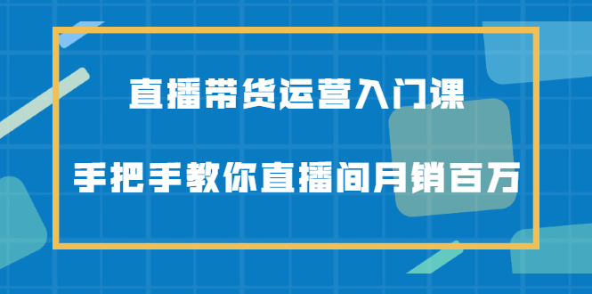 直播带货运营入门课，手把手教你直播间月销百万-九章网创