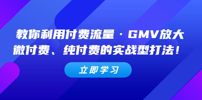 教你利用付费流量·GMV放大，微付费、纯付费的实战型打法-九章网创