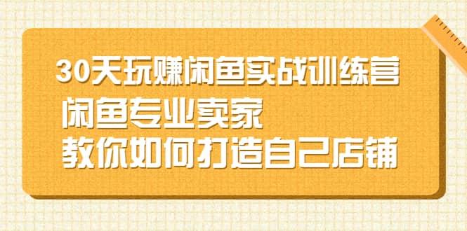 30天玩赚闲鱼实战训练营，闲鱼专业卖家教你如何打造自己店铺-九章网创