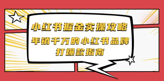 小红书掘金实操攻略，年销千万的小红书品牌打爆款指南-九章网创