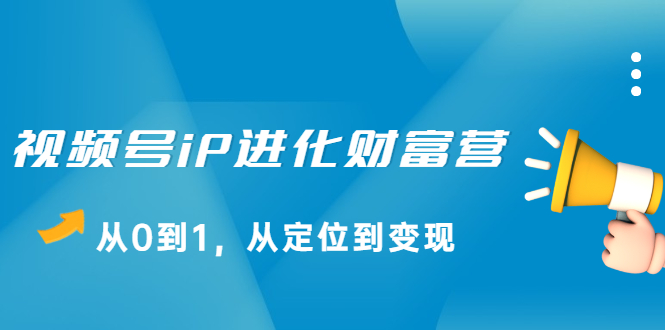 视频号iP进化财富营第1期，21天从0到1，从定位到变现-九章网创