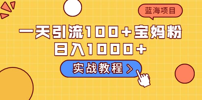 一天引流100 宝妈粉，日入1000 的蓝海项目（实战教程）-九章网创