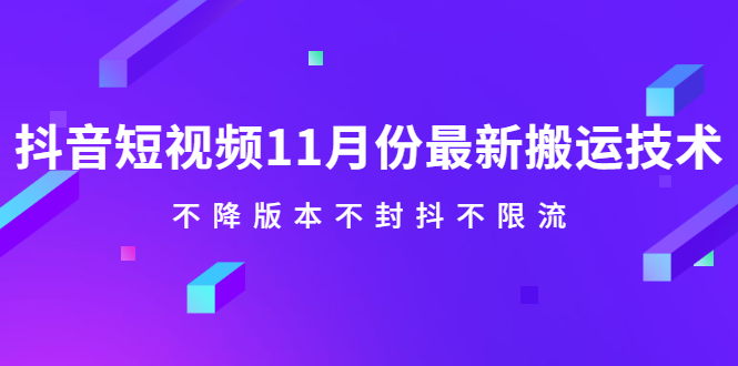 抖音短视频11月份最新搬运技术，不降版本不封抖不限流！【视频课程】-九章网创