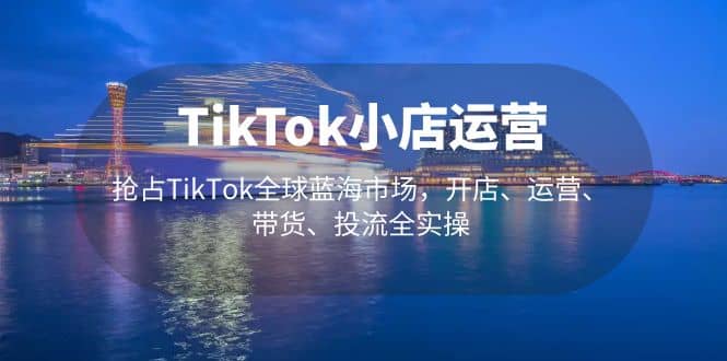 TikTok小店运营 抢占TikTok全球蓝海市场，开店、运营、带货、投流全实操-九章网创