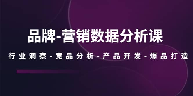 品牌-营销数据分析课，行业洞察-竞品分析-产品开发-爆品打造-九章网创