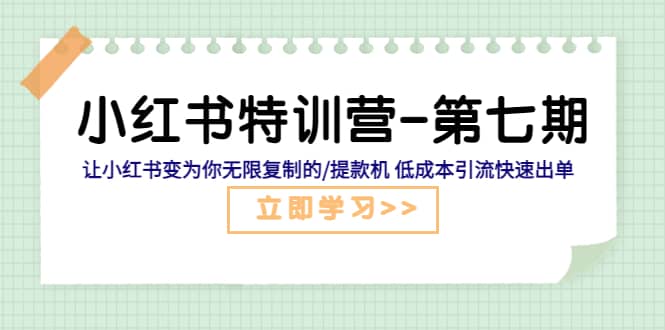 小红书特训营-第七期 让小红书变为你无限复制的/提款机 低成本引流快速出单-九章网创