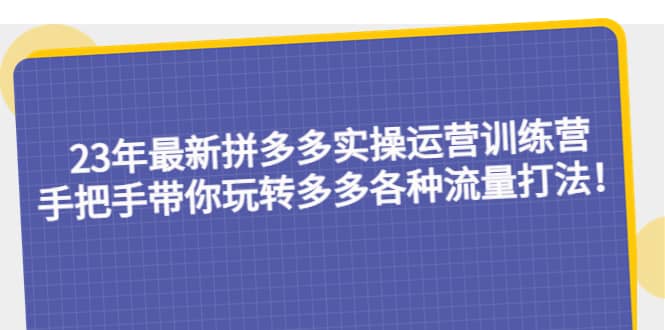 23年最新拼多多实操运营训练营：手把手带你玩转多多各种流量打法！-九章网创