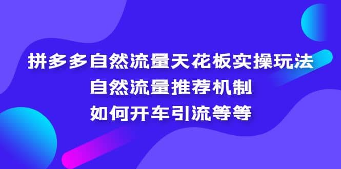 拼多多自然流量天花板实操玩法：自然流量推荐机制，如何开车引流等等-九章网创