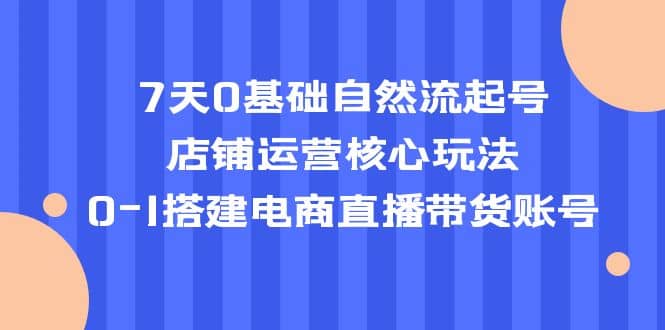 7天0基础自然流起号，店铺运营核心玩法，0-1搭建电商直播带货账号-九章网创