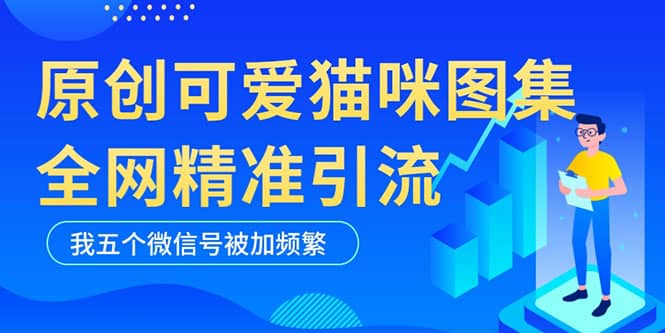 黑科技纯原创可爱猫咪图片，全网精准引流，实操5个VX号被加频繁-九章网创