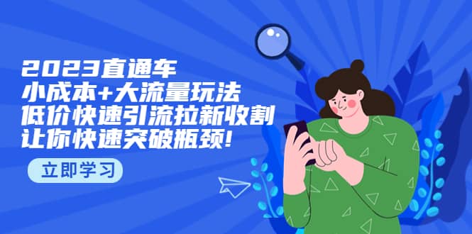 2023直通小成本 大流量玩法，低价快速引流拉新收割，让你快速突破瓶颈-九章网创