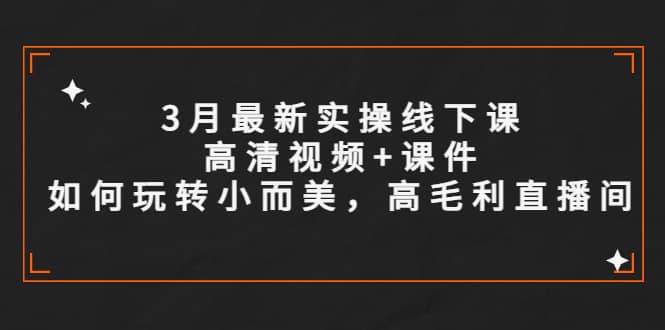 3月最新实操线下课高清视频 课件，如何玩转小而美，高毛利直播间-九章网创