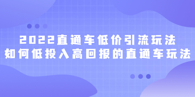 2022直通车低价引流玩法，教大家如何低投入高回报的直通车玩法-九章网创