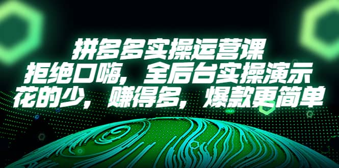 拼多多实操运营课：拒绝口嗨，全后台实操演示，花的少，赚得多，爆款更简单-九章网创