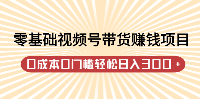 零基础视频号带货赚钱项目，0成本0门槛轻松日入300 【视频教程】-九章网创