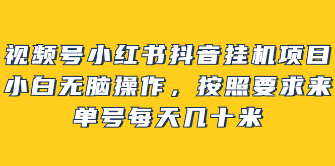 视频号小红书抖音挂机项目，小白无脑操作，按照要求来，单号每天几十米-九章网创