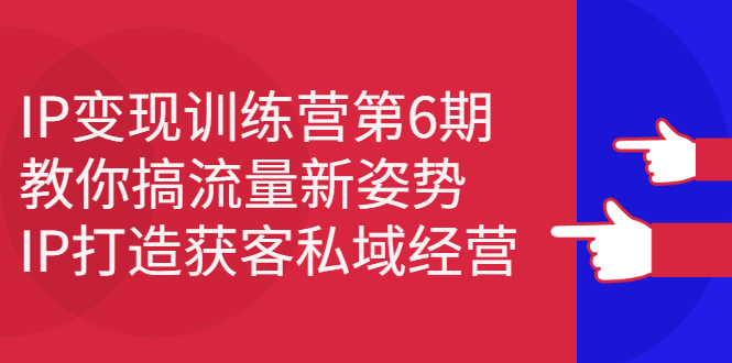 IP变现训练营第6期：教你搞流量新姿势，IP打造获客私域经营-九章网创