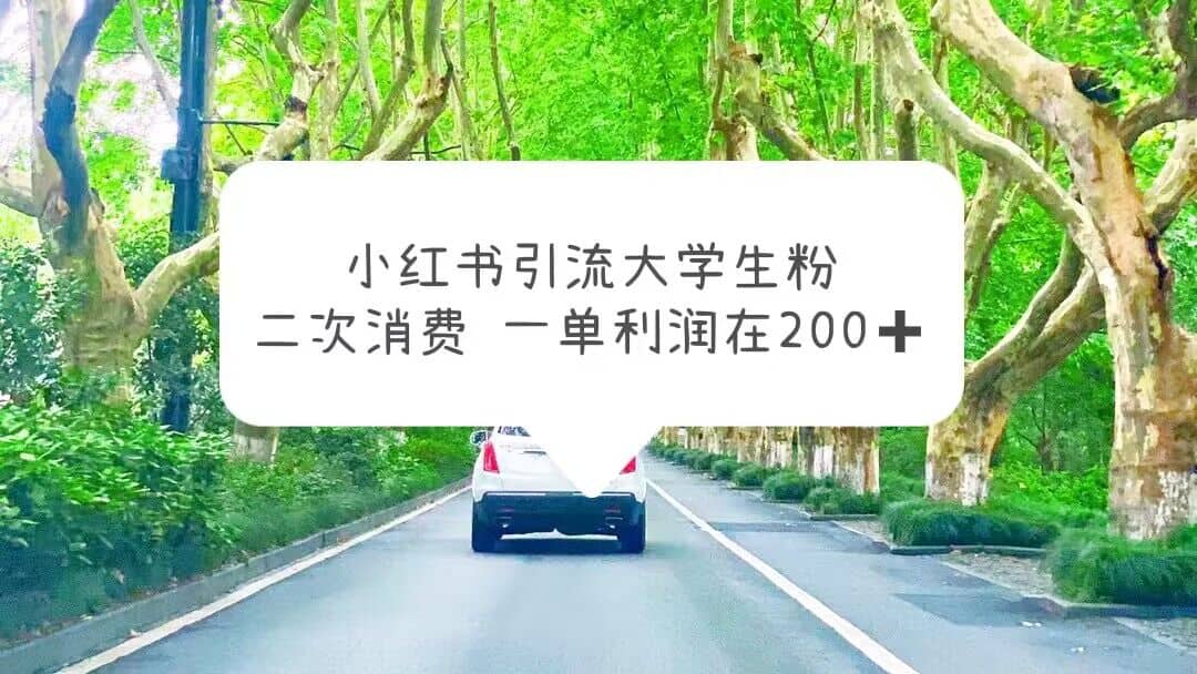 小红书引流大学生粉，变现项目，一单利润在200 （教程 资源）-九章网创