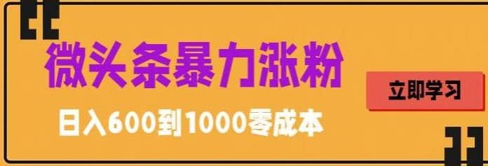 微头条暴力涨粉技巧搬运文案就能涨几万粉丝，简单0成本，日赚600-九章网创