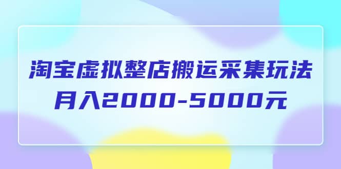 淘宝虚拟整店搬运采集玩法分享课：月入2000-5000元（5节课）-九章网创