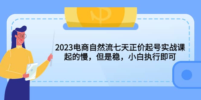 2023电商自然流七天正价起号实战课：起的慢，但是稳，小白执行即可-九章网创