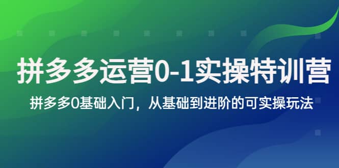 拼多多-运营0-1实操训练营，拼多多0基础入门，从基础到进阶的可实操玩法-九章网创