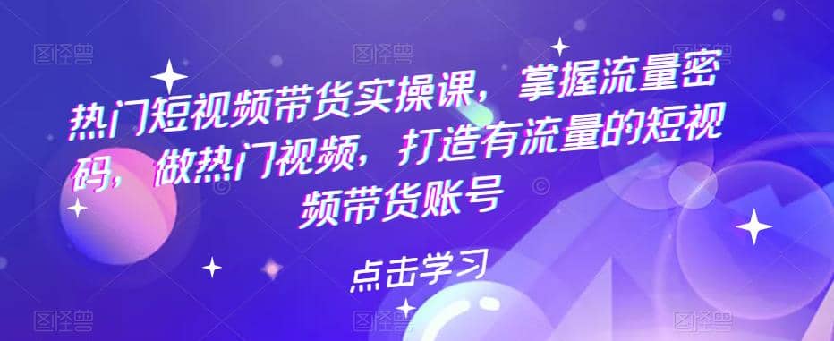 热门短视频带货实战 掌握流量密码 做热门视频 打造有流量的短视频带货账号-九章网创